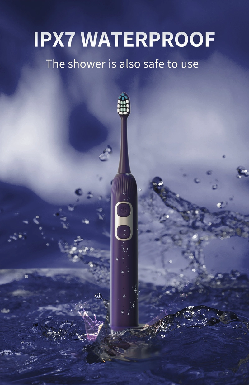 OEM X300 Ipx7 Waterproof Adult Smart Electric Toothbrush