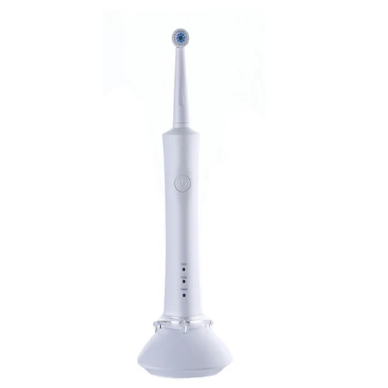 Cepillo de dientes rotatorio eléctrico impermeable redondo adaptable de la cabeza Ipx7 del cepillo de dientes OEM&ODM